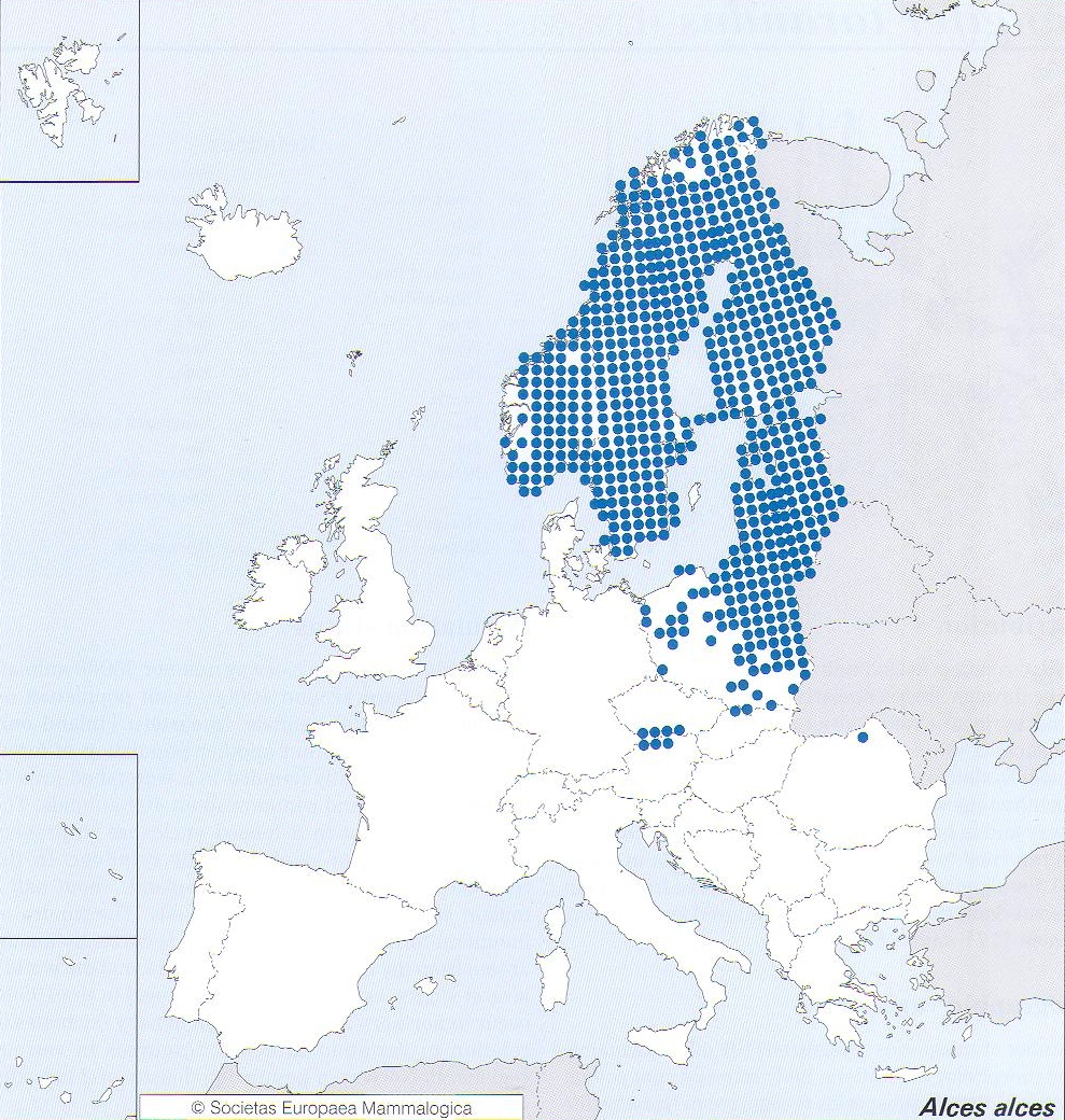 Dieses Foto zeigt eine Karte von Europa, mit einer Elchverteilung in Skandinavien.